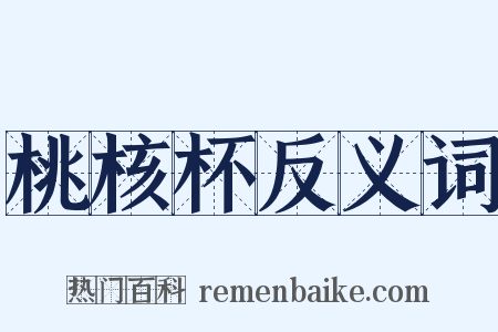 桃核杯反义词是什么意思的图片